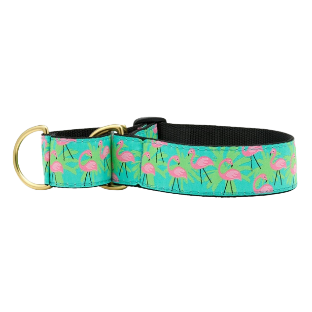 Extra wide martingale clearance dog collars