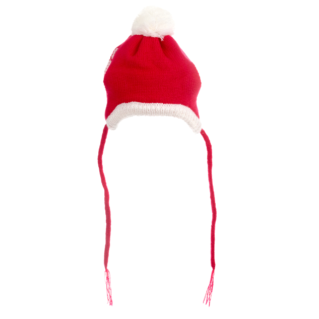 Dog Winter Hat Santa1