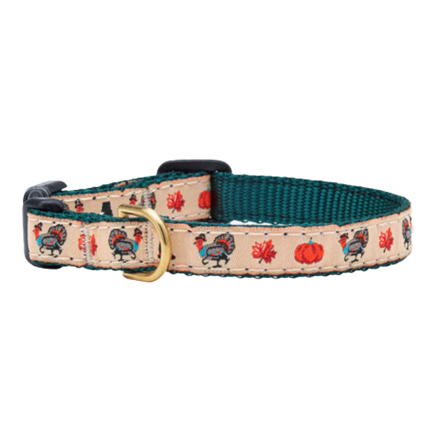 Teacup dog best sale collar