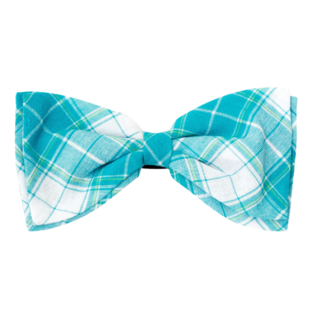 Dog Bow Tie Turquoise & White Madras Plaid boulderbarks