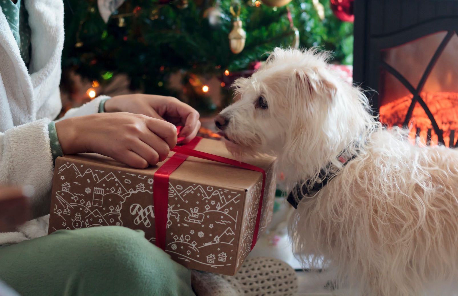 christmas-celebration-with-your-dog-blog-post
