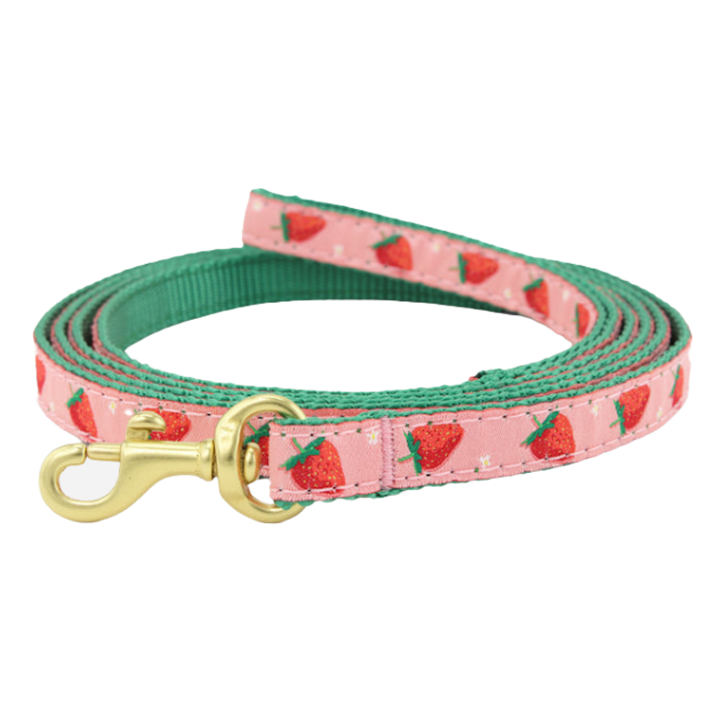 STRAWBERRY-FIELDS-DOG-LEASH-SMALL-BREED-TEACUP