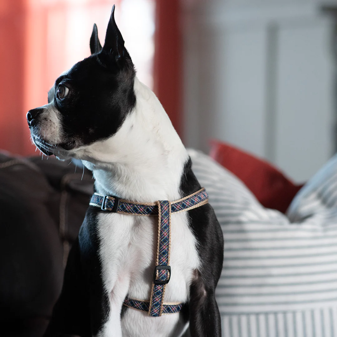 Collar Leash Harness Sets boulderbarks