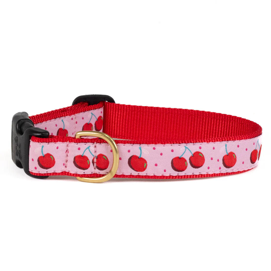 cherries-dog-leash