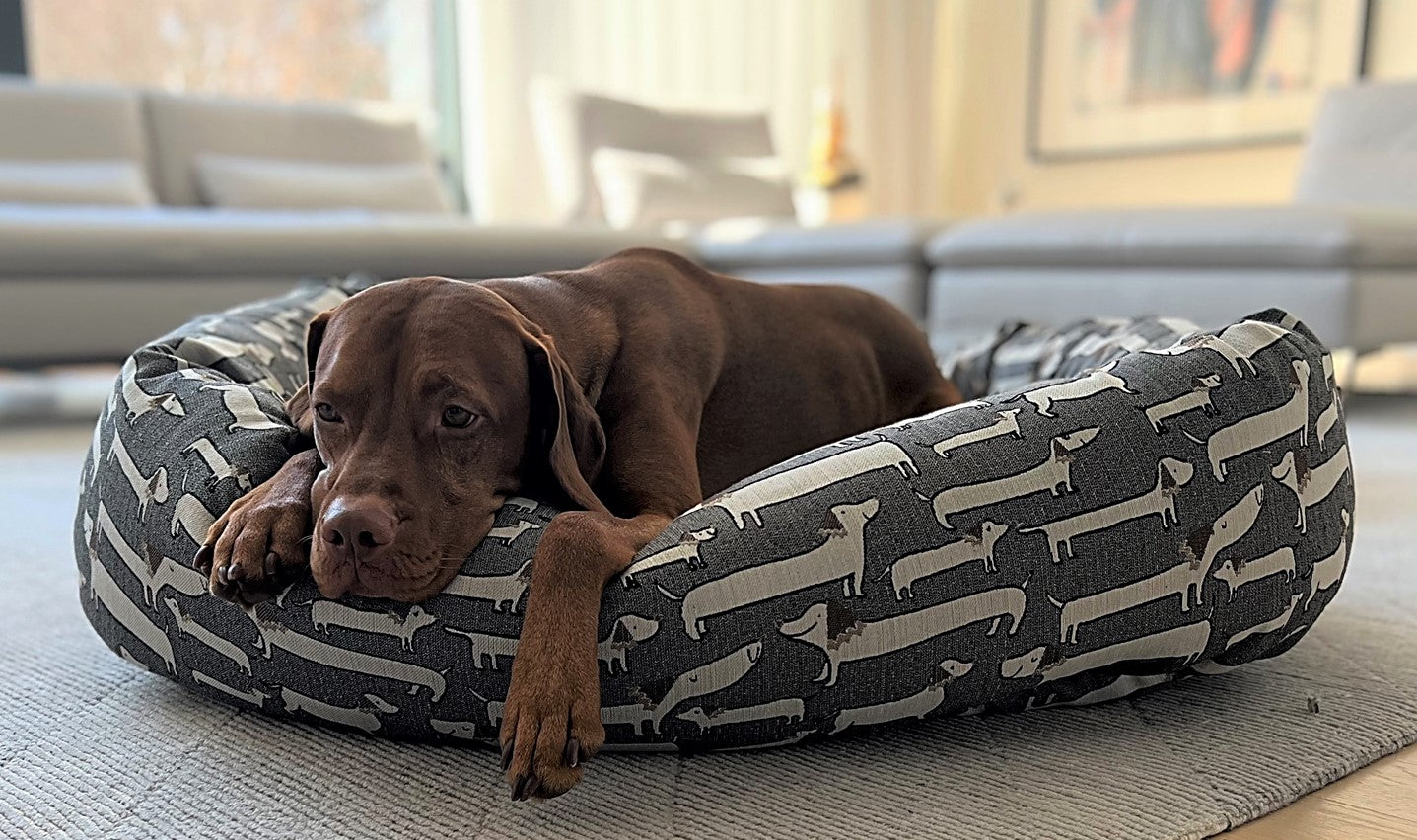 Donut Bed | Dashing Dogs Woven