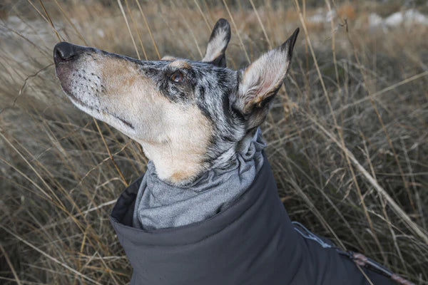 extreme-weather-overall-dog-coat