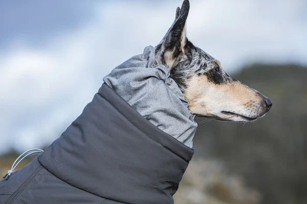 extreme-weather-overall-dog-coat