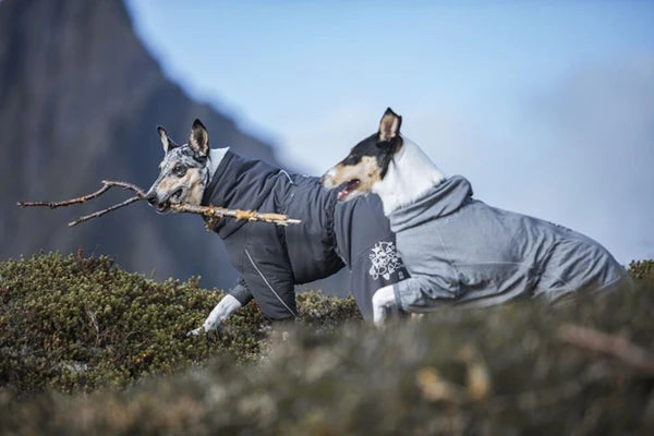 extreme-weather-overall-dog-coat