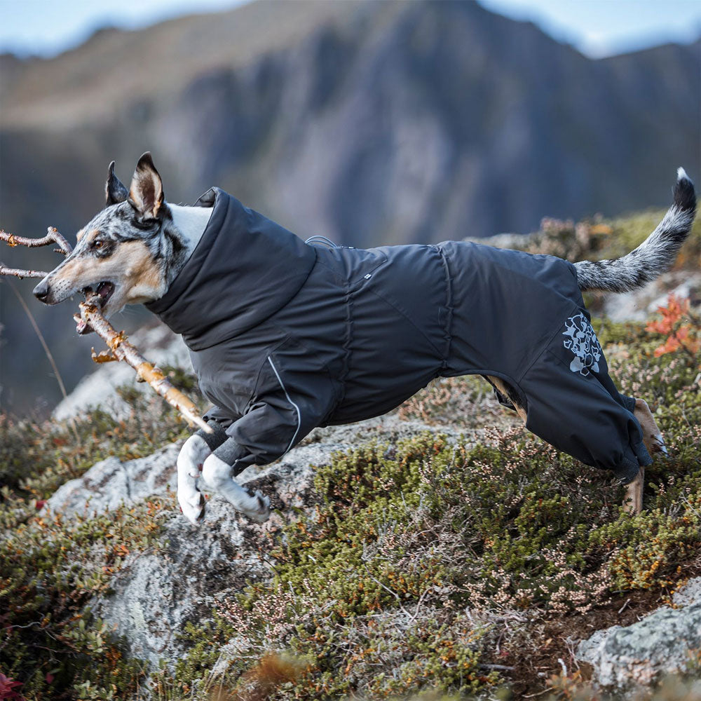 extreme-weather-overall-dog-coat