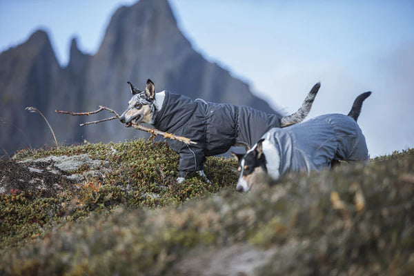 extreme-weather-overall-dog-coat