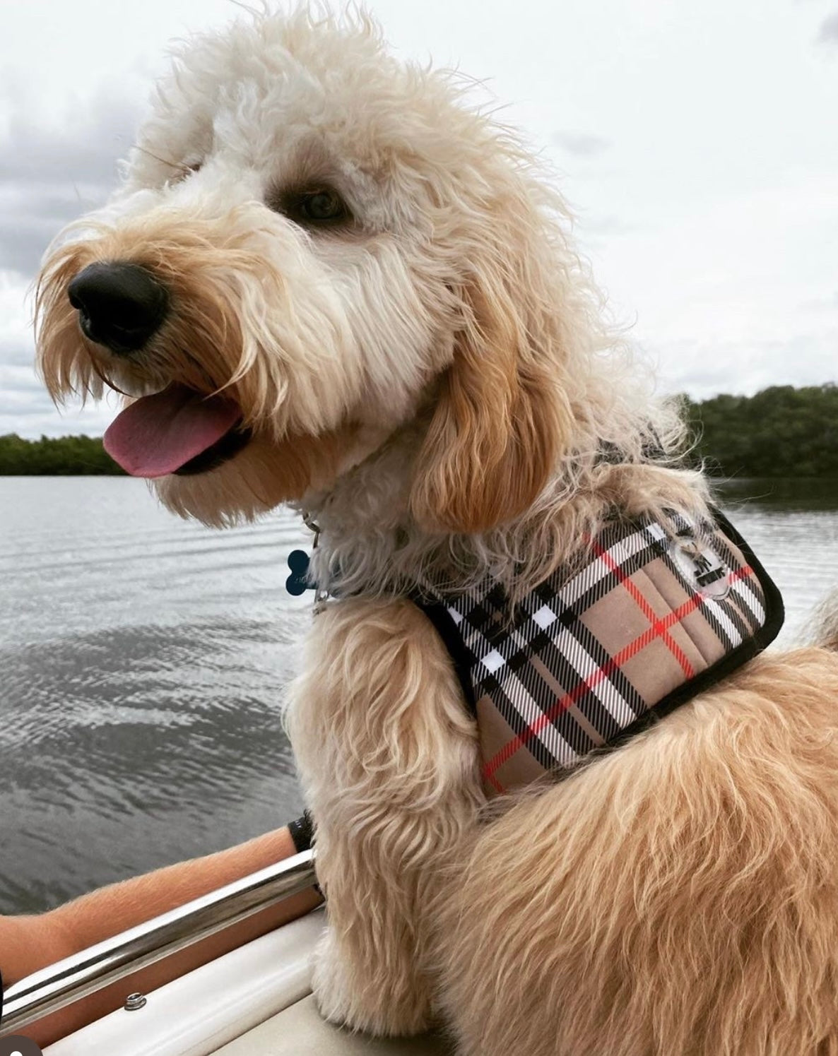 Sidekick Harness | Bias Plaid