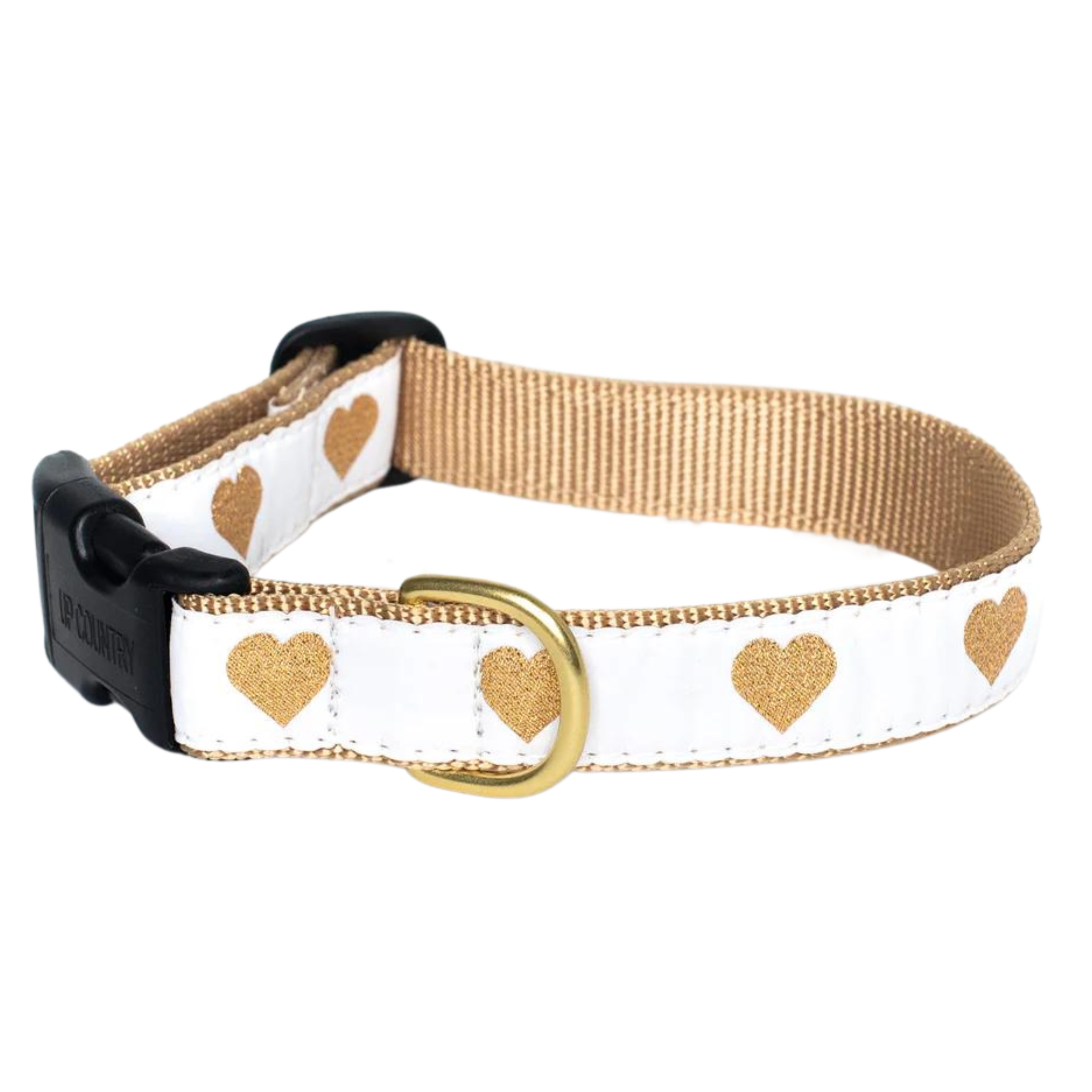 HEARTS-OF-GOLD-WHITE-DOG-COLLAR
