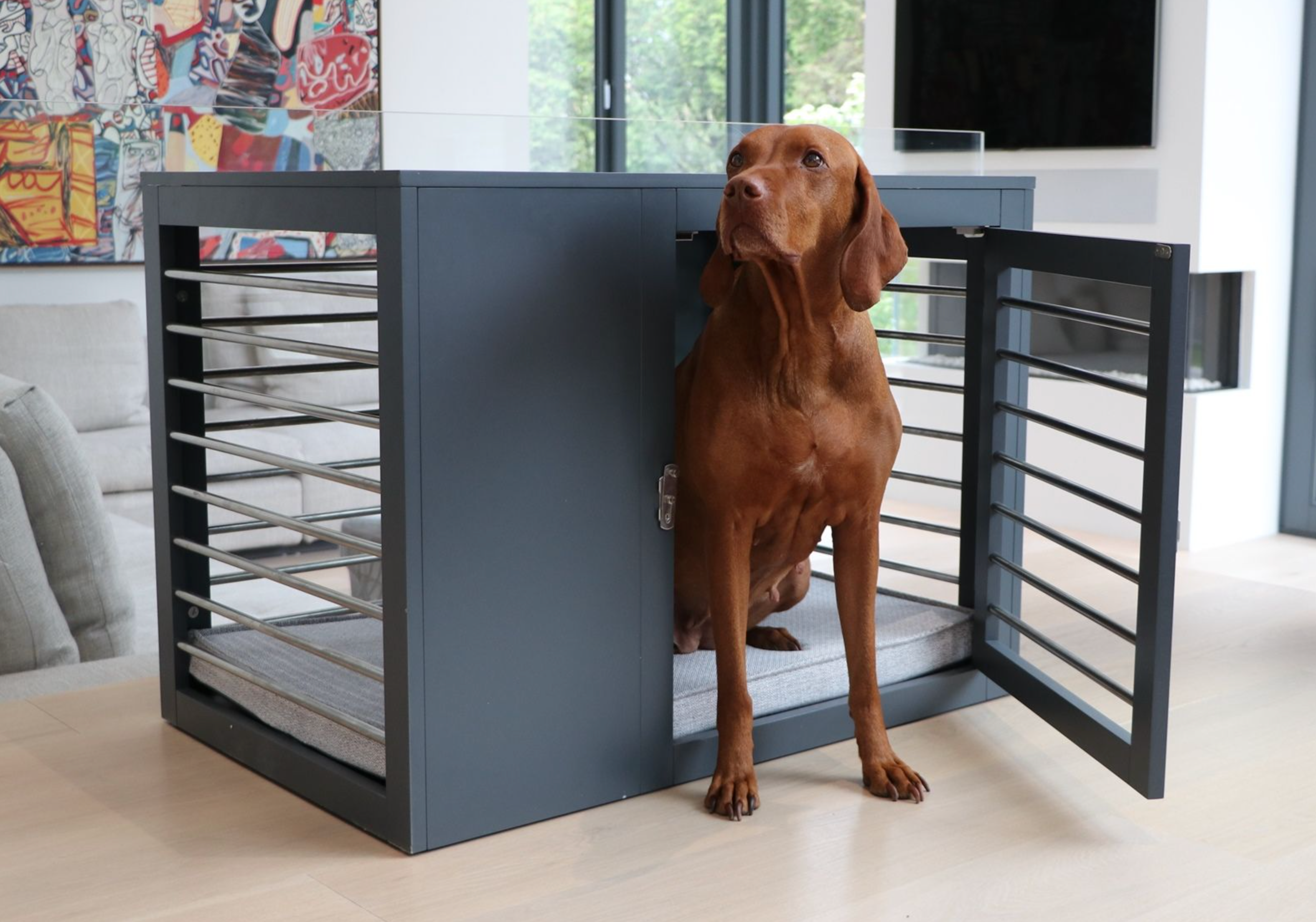 Modern sales dog carrier