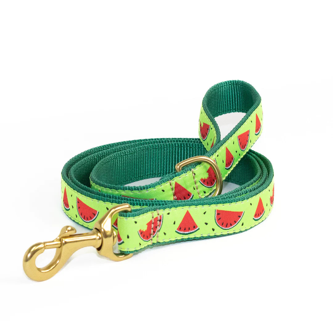 one-in-a-melon-dog-leash