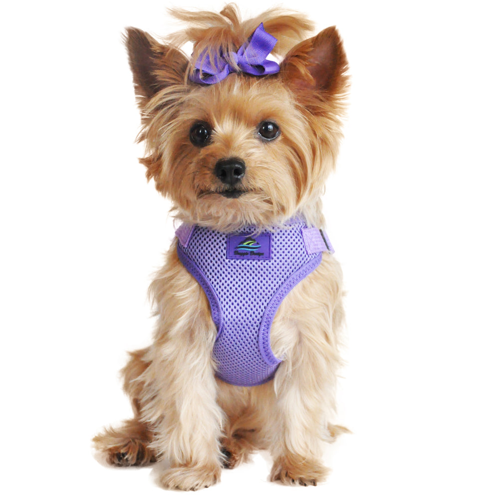 AllShieldPro™ Reflective Dog Harness with Handle Lavender Purple AllShieldPro™ Reflective Dog Harness with Handle Lavender Purple