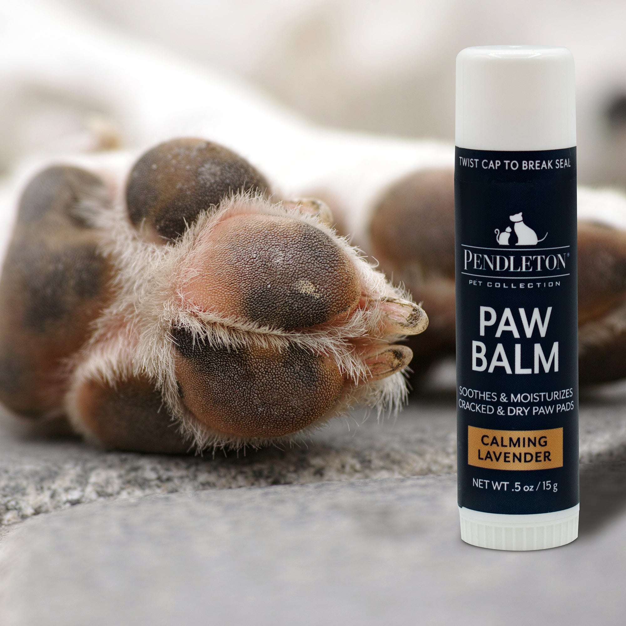 Pendleton Pet Paw Balm | Lavender