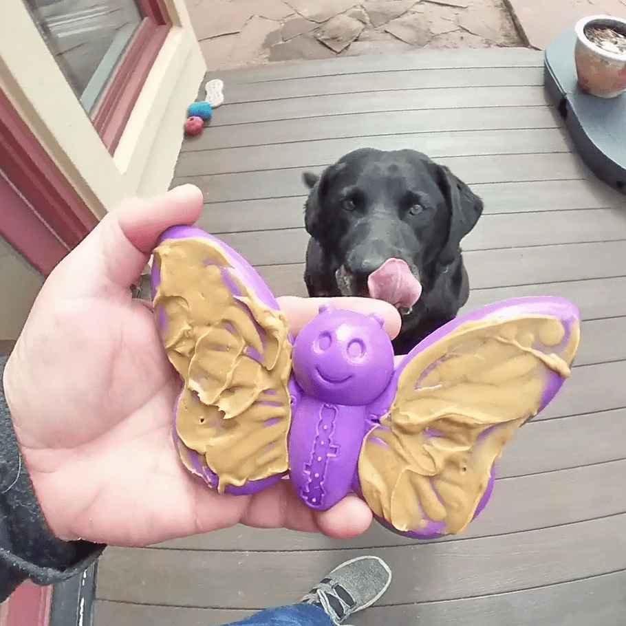 SNACKING-TRAY-BUTTERFLY