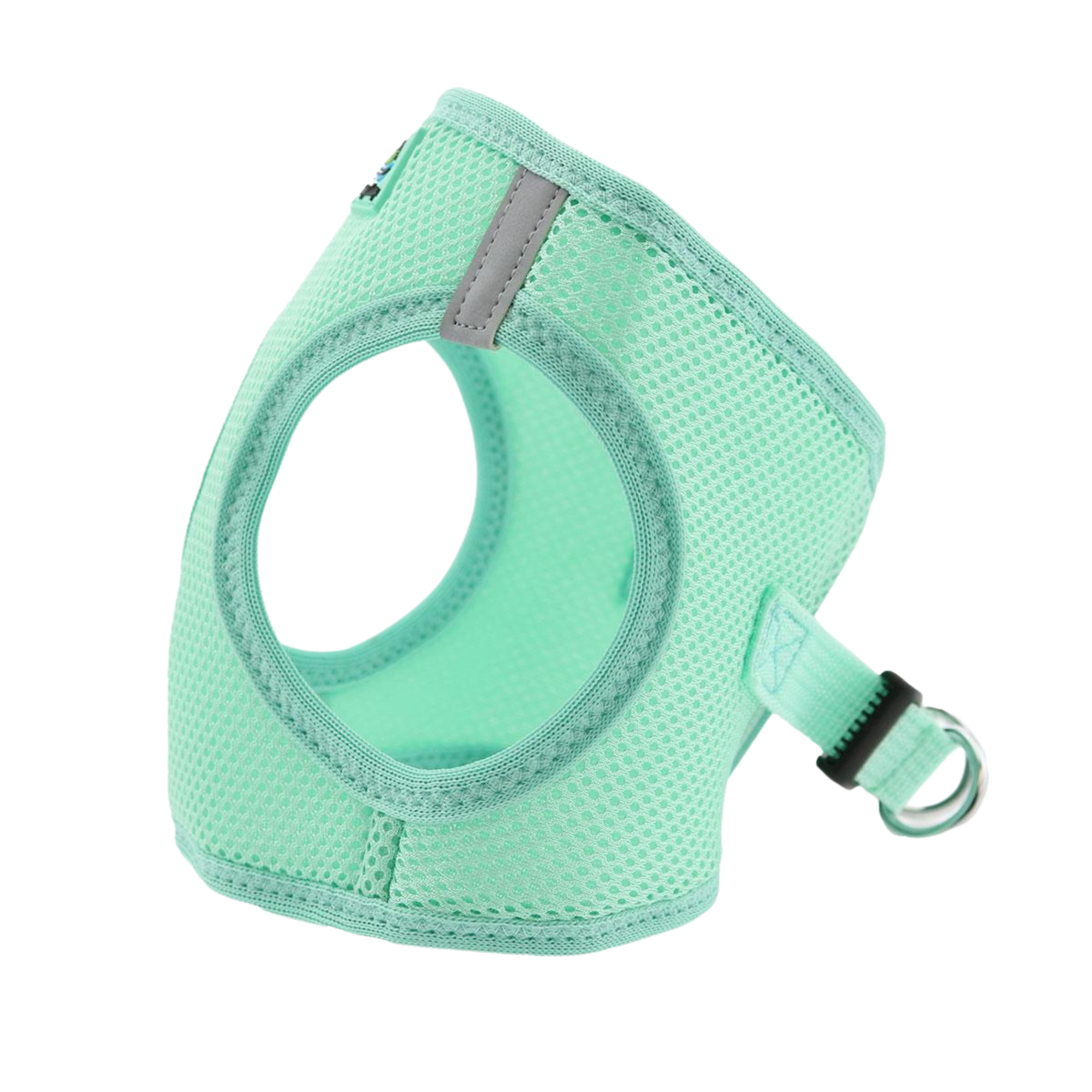 Mint green dog harness on a white background