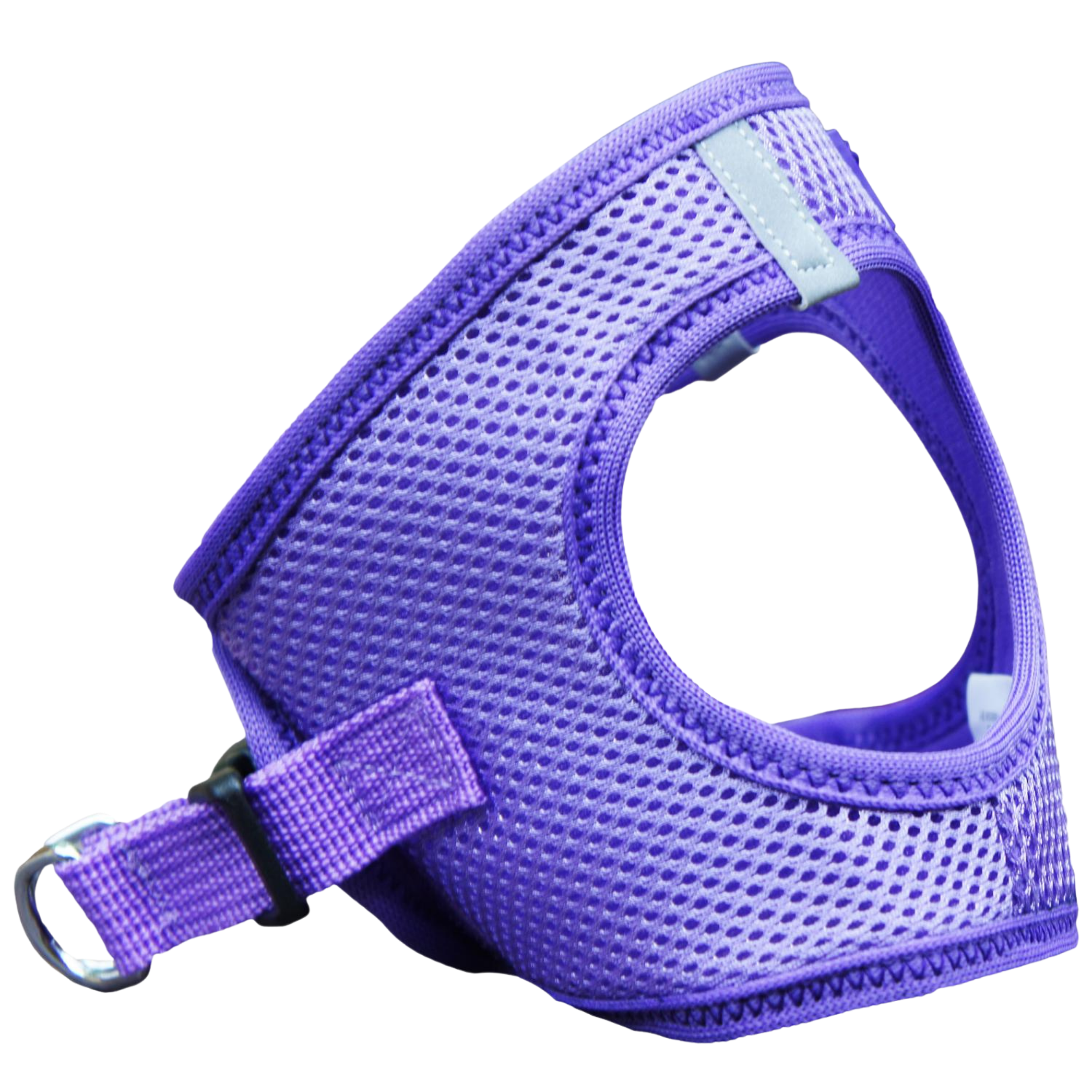 Purple pet harness on a white background