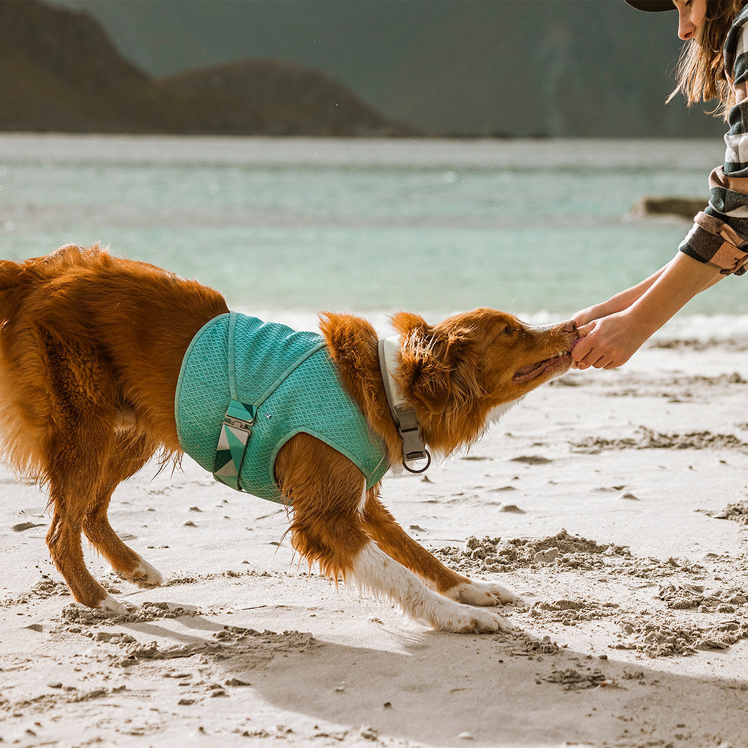 cooling-wrap-dog-summer-vest