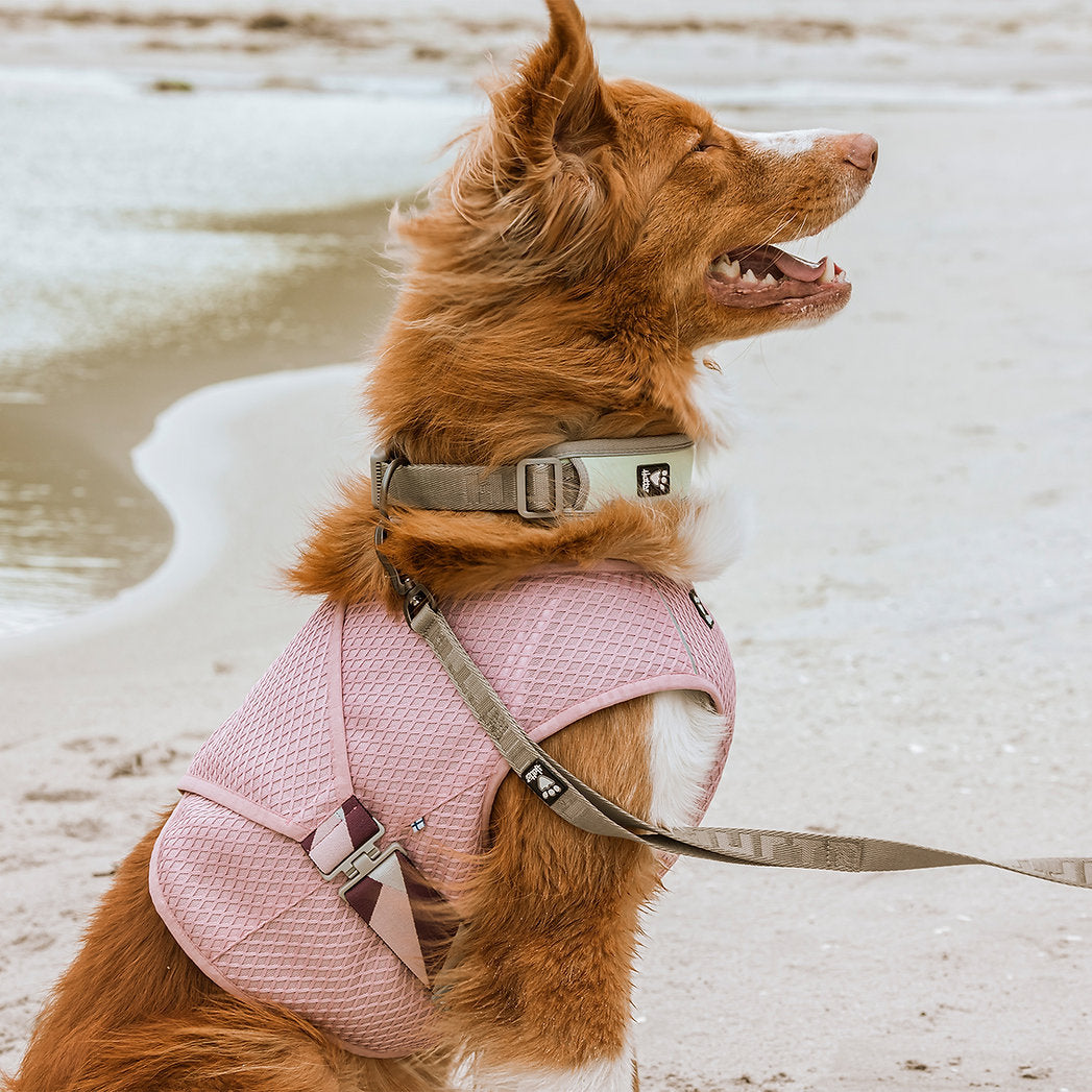 cooling-wrap-dog-summer-vest