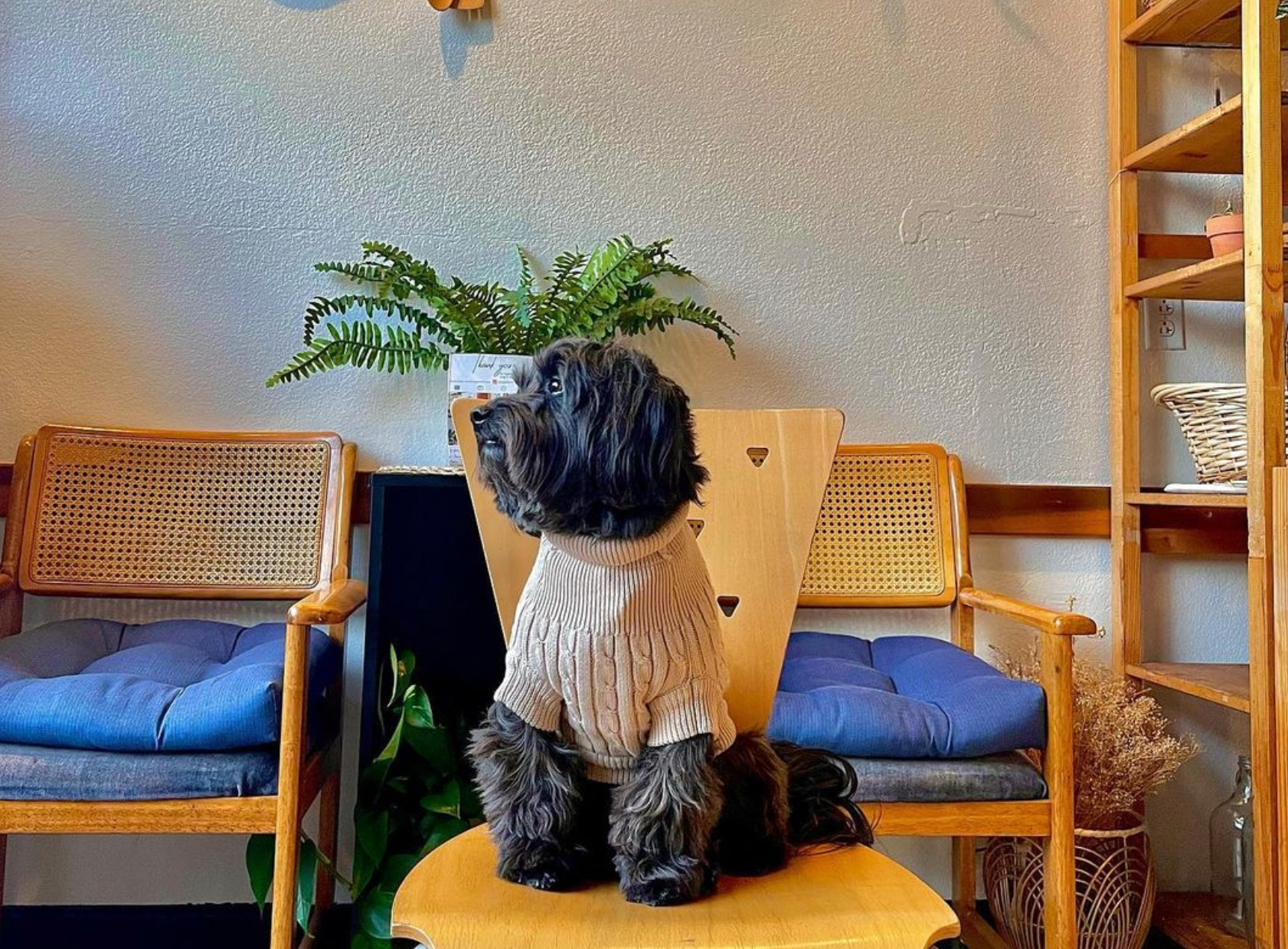 Sweater | Cable Knit