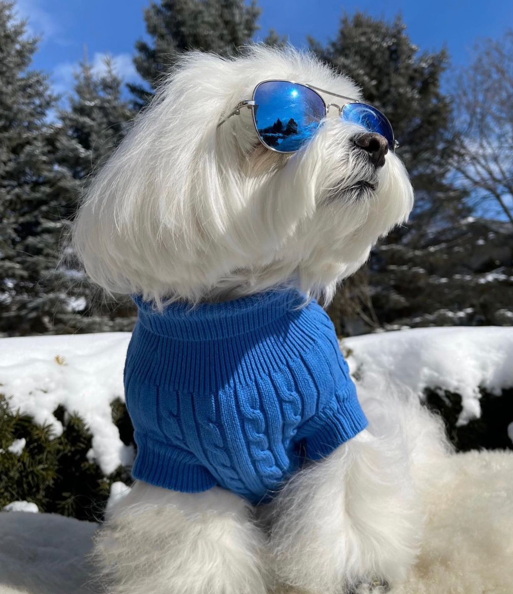 Sweater | Cable Knit