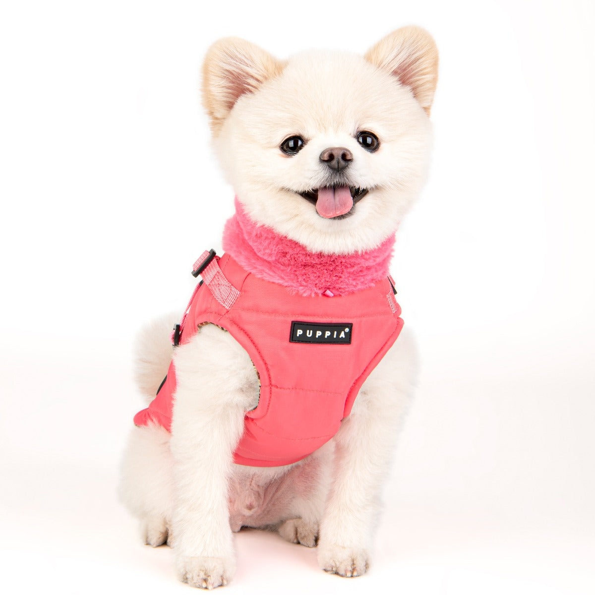 Small dog wearing a pink harness with 'Puppia' branding on a white background