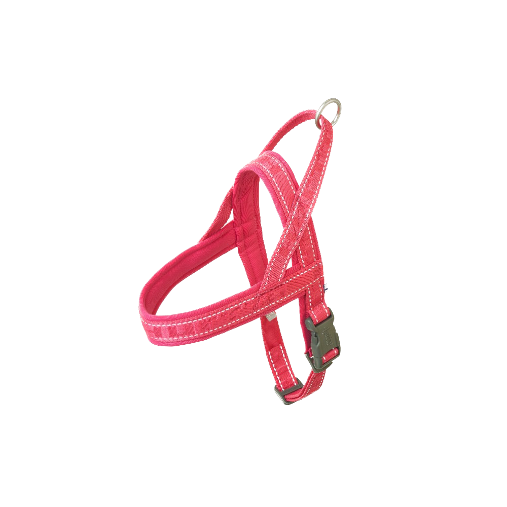 eco-casual-padded-dog-harness-ruby