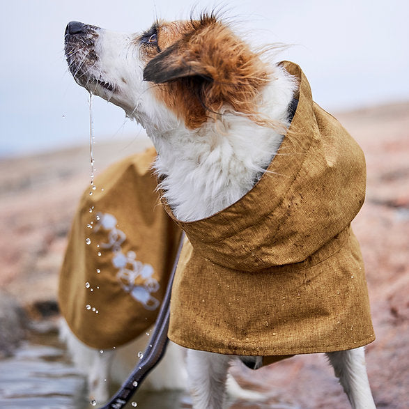 ECO Raincoat | Monsoon