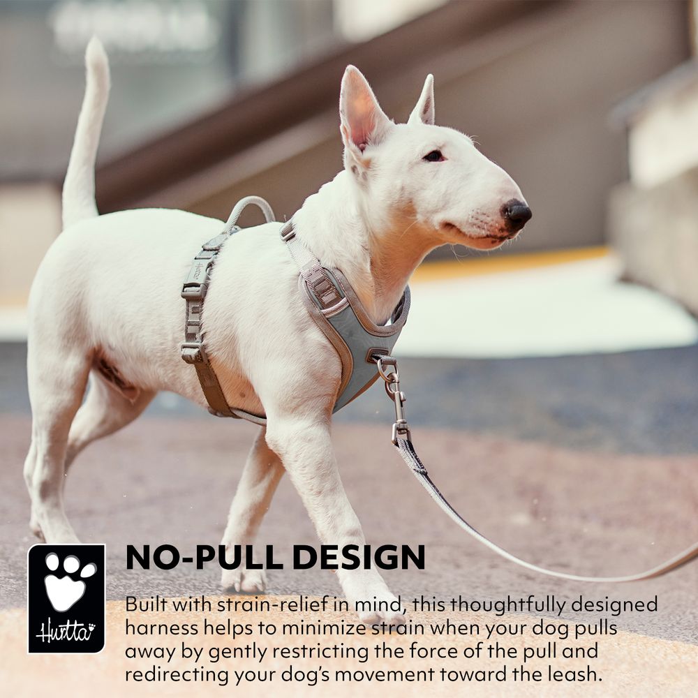 eco-venture-no-pull-dog-harness-shadow