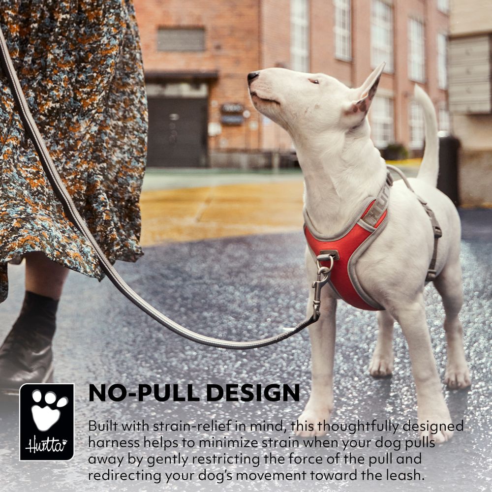 eco-venture-no-pull-dog-harness-bilberry