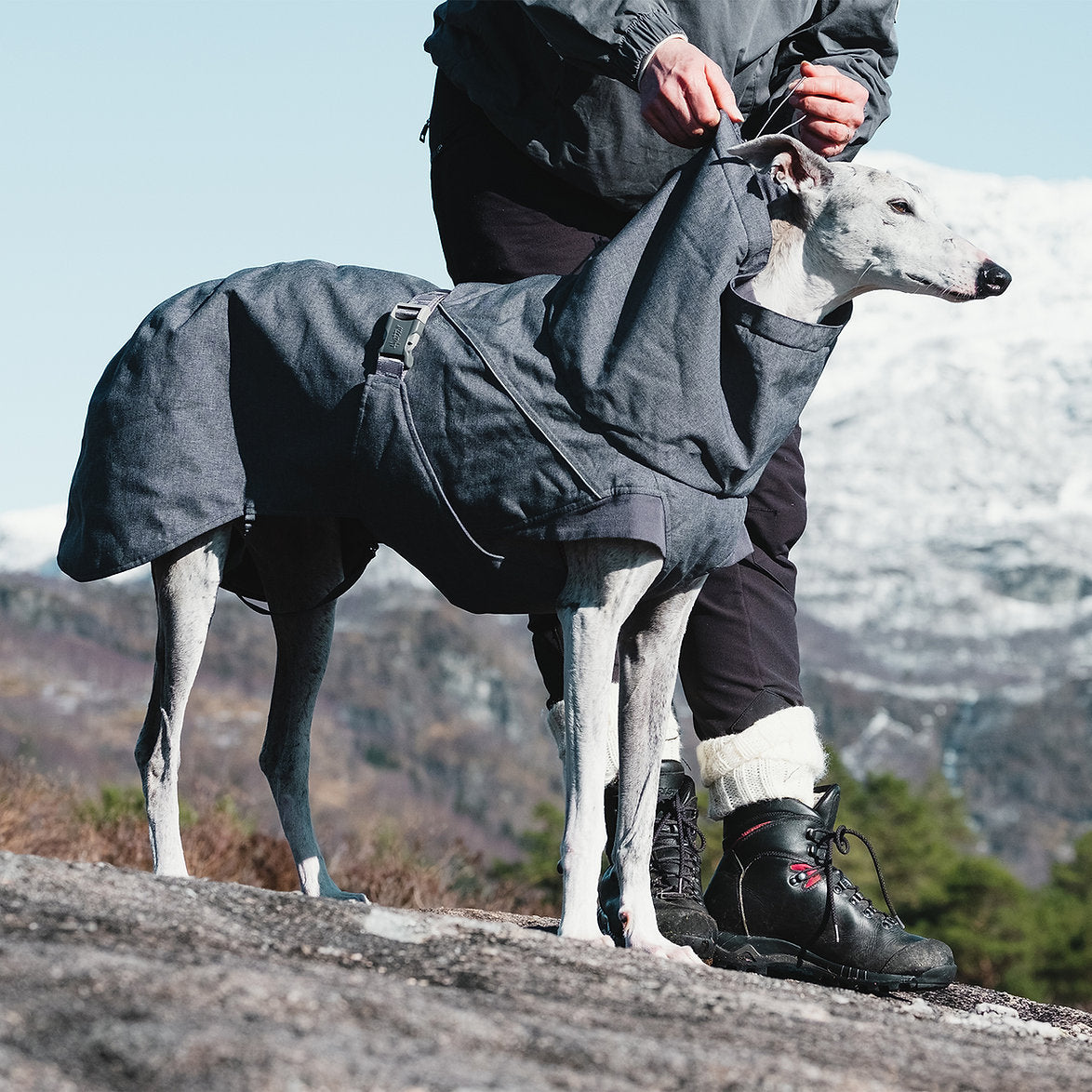 expedition-parka-dog-coat