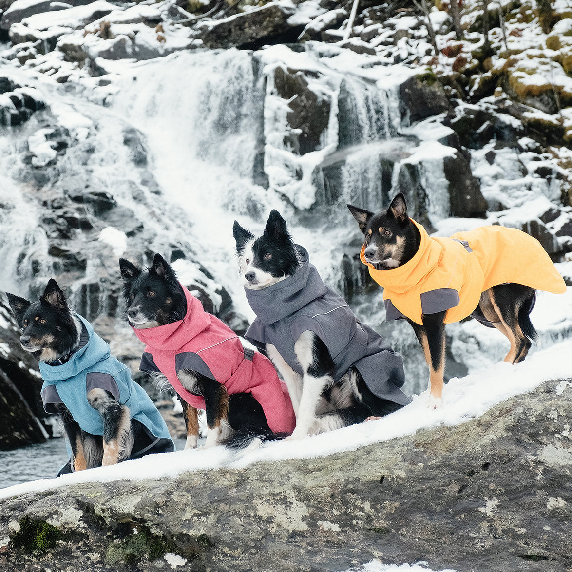 expedition-parka-dog-coat