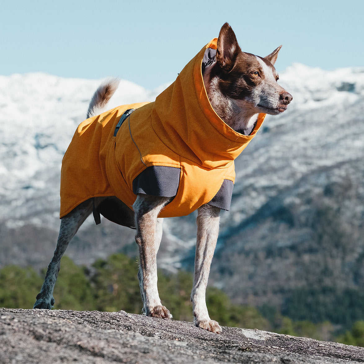 expedition-parka-dog-coat