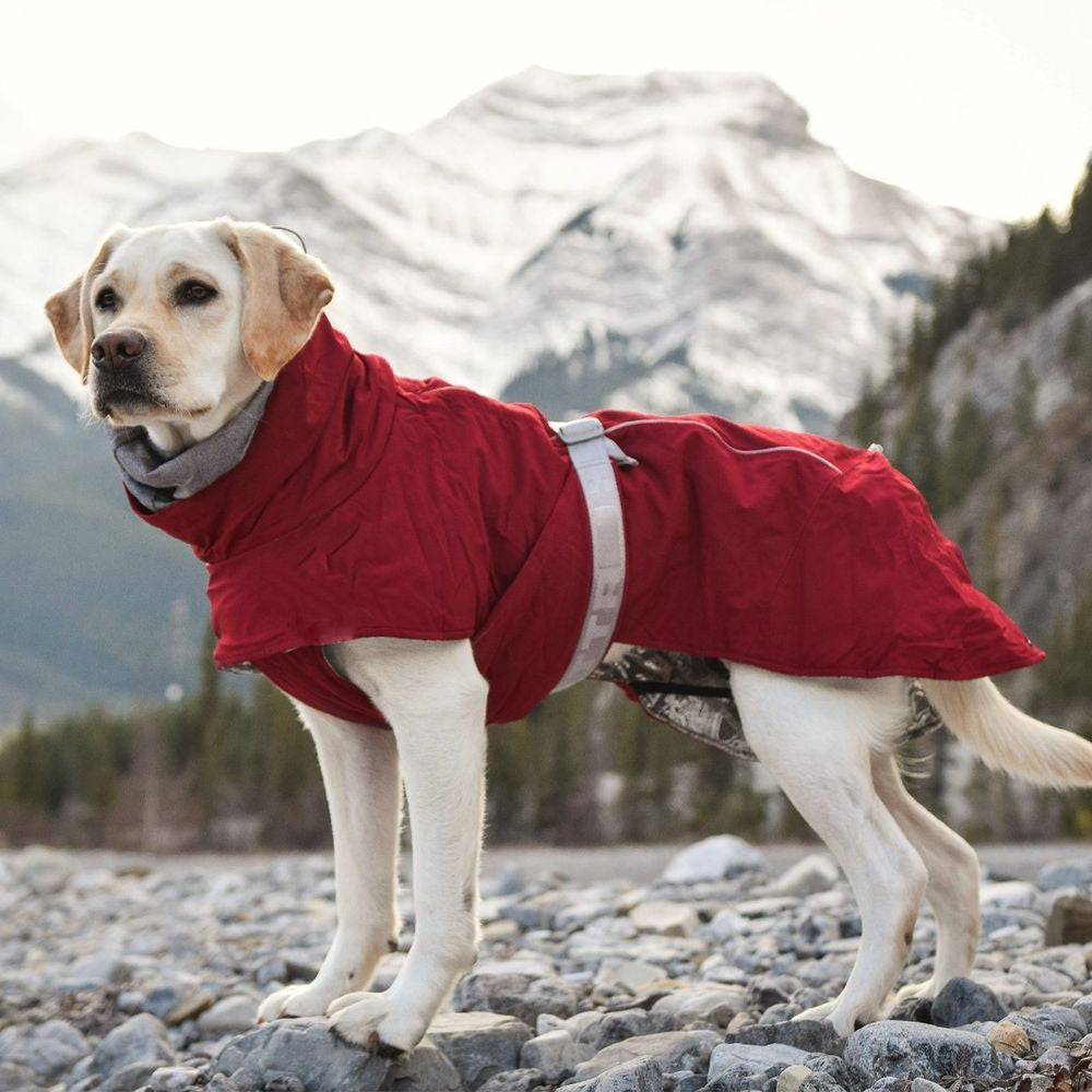 extreme-warmer-dog-coat-lingon
