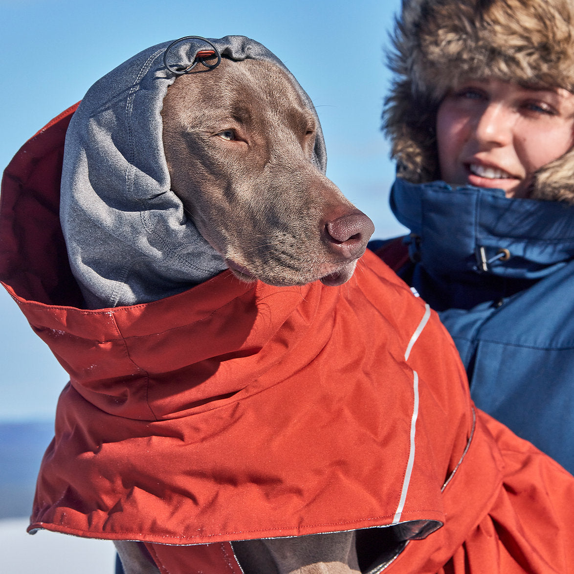 extreme-warmer-extreme-weather-dog-coat