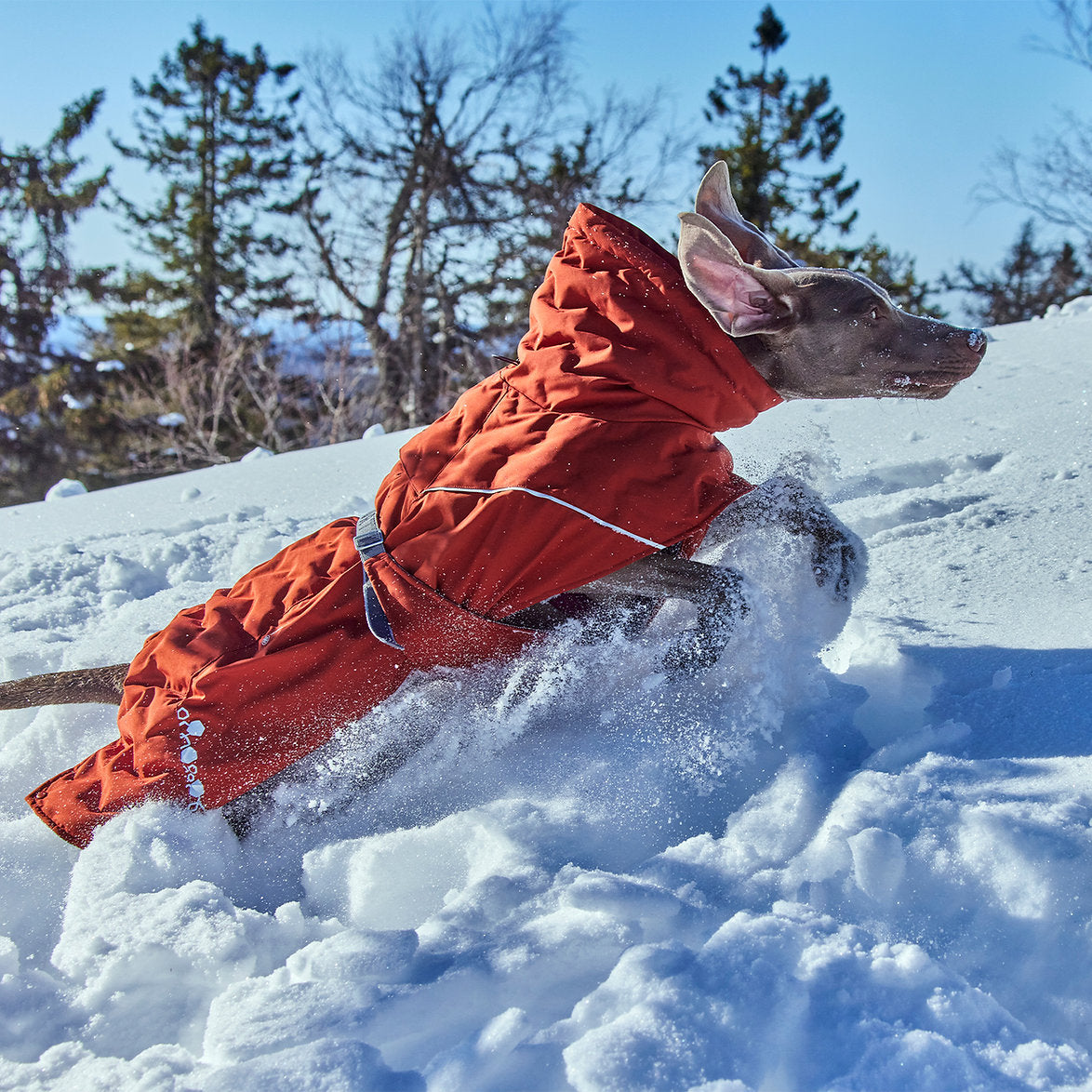 extreme-warmer-extreme-weather-dog-coat