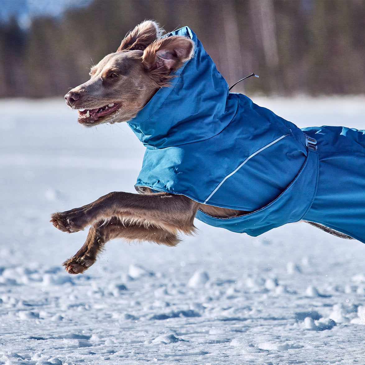 extreme-warmer-extreme-weather-dog-coat