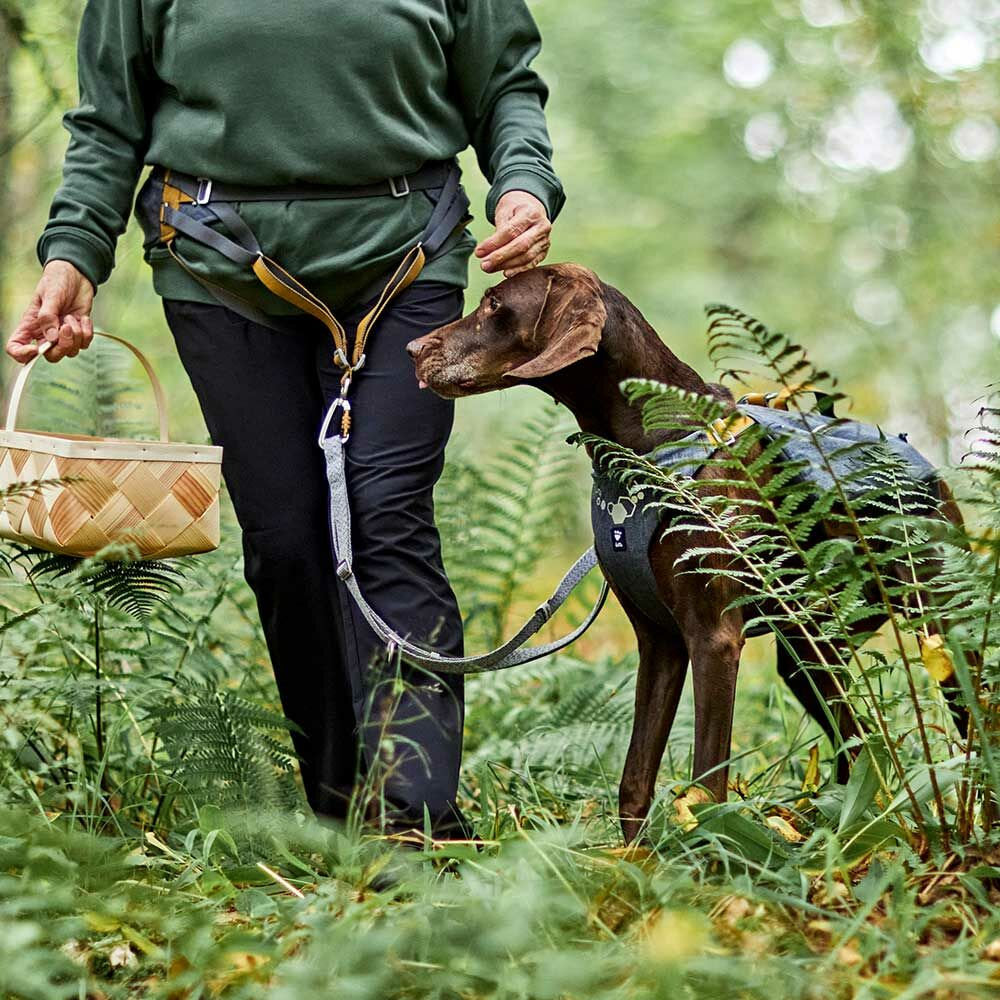 hands-free-waist-dog-leash