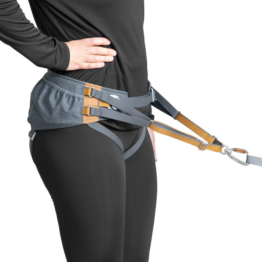 hands-free-waist-dog-leash