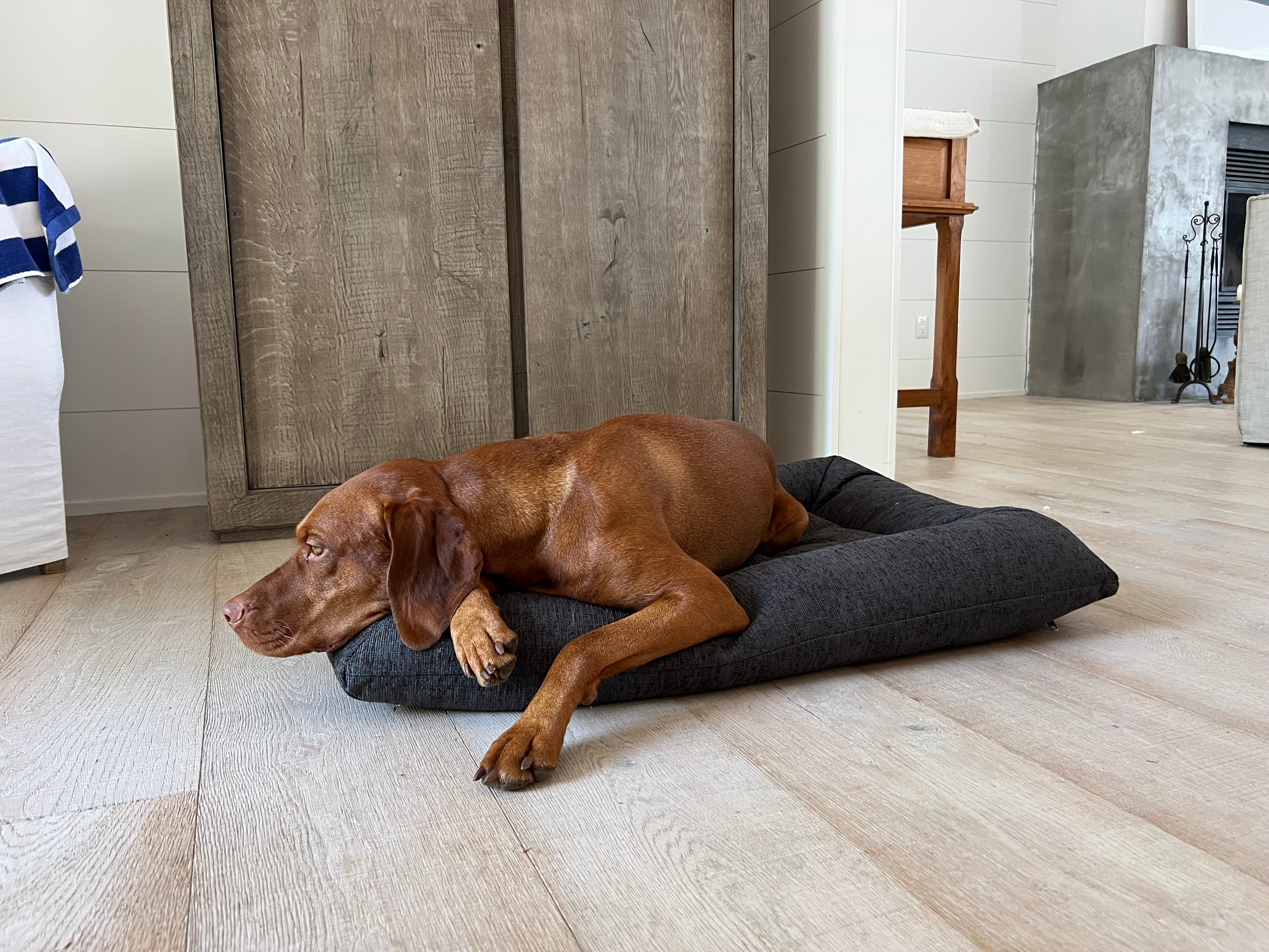 hugo-futon-dog-bed-charcoal