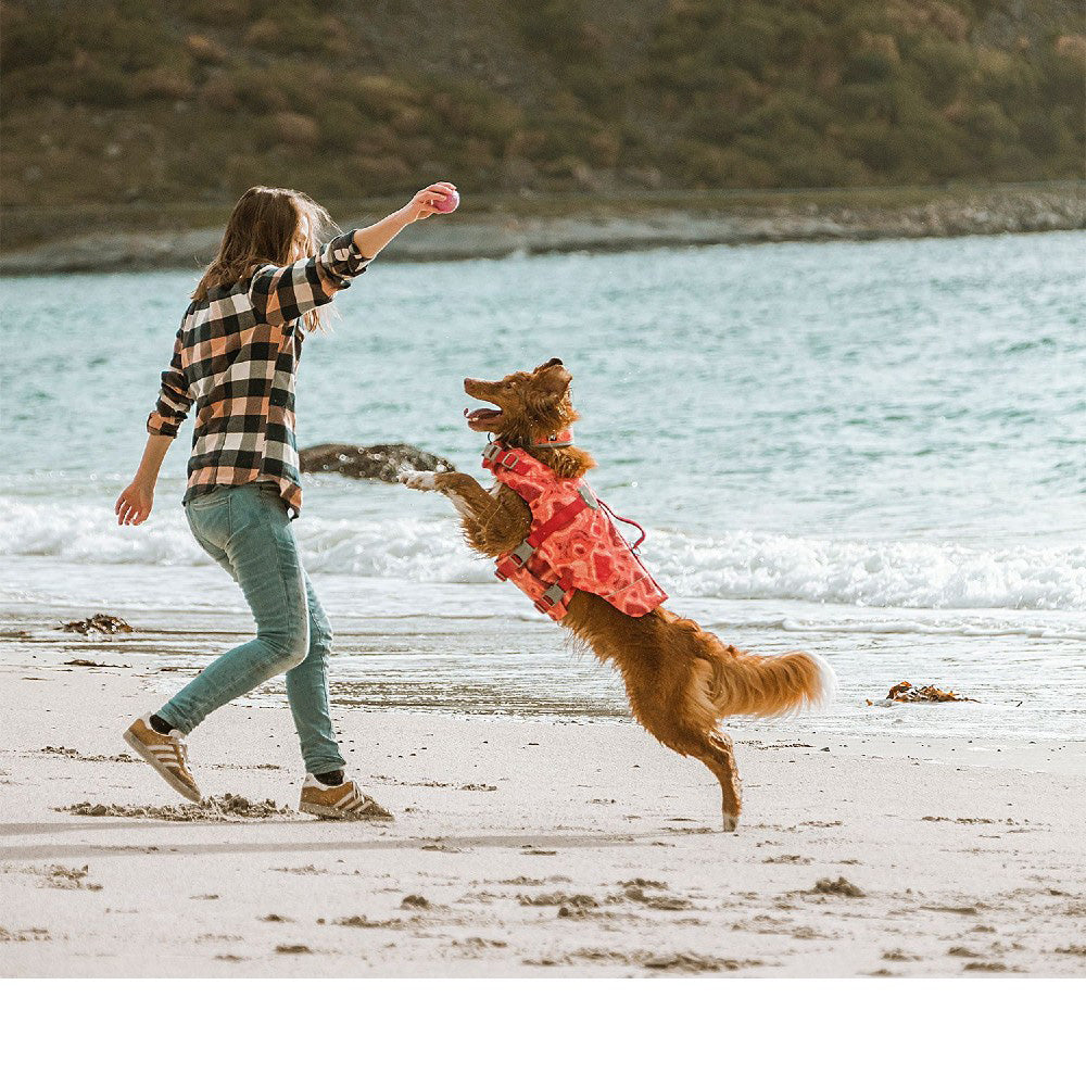 Woman playing with a dog on a beach