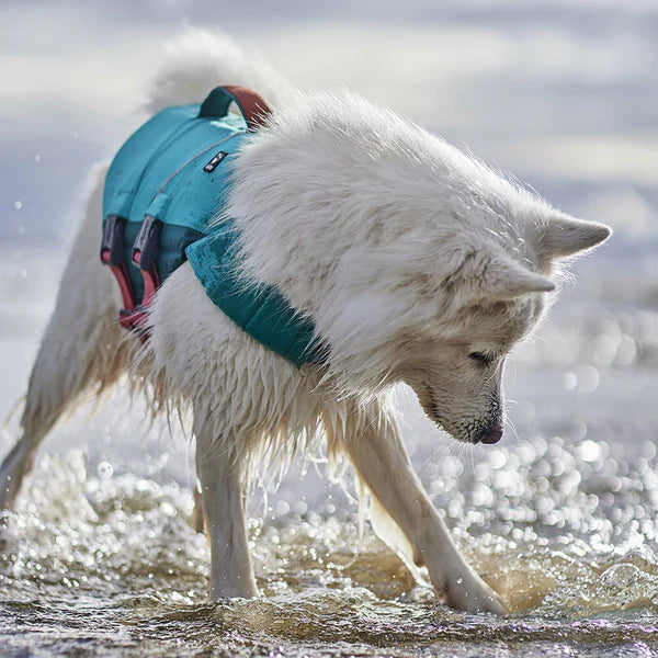 life-jacket-vest-dogs-peacock