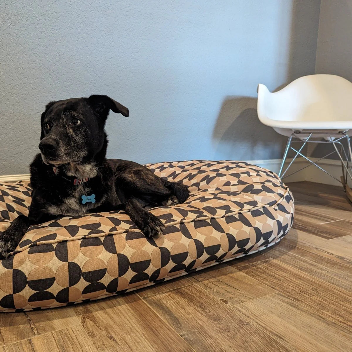 Dog lying on a patterned dog bed in a room with a chair and light blue wall.