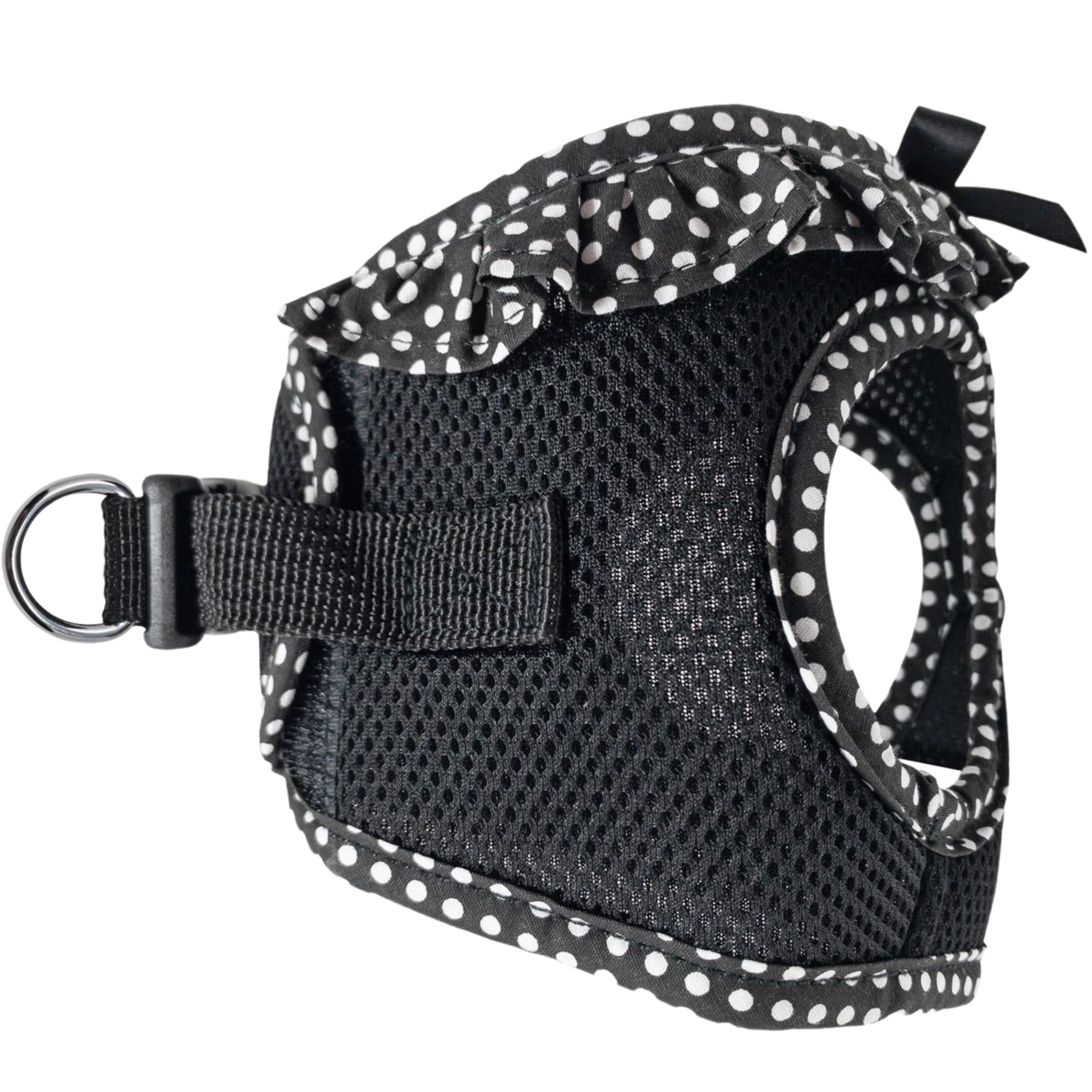 Black dog harness with white polka dots on a white background