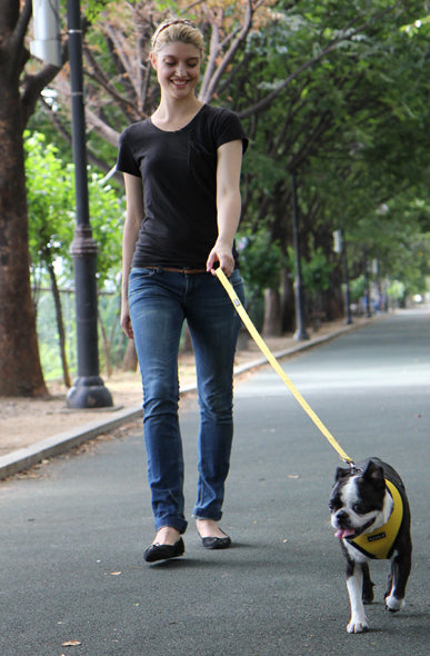 Woman walking a dog on a leash in an urban park setting