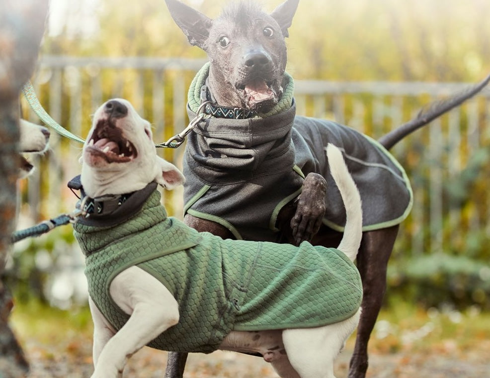 midlayer-fleece-dog-jacket-beetroot