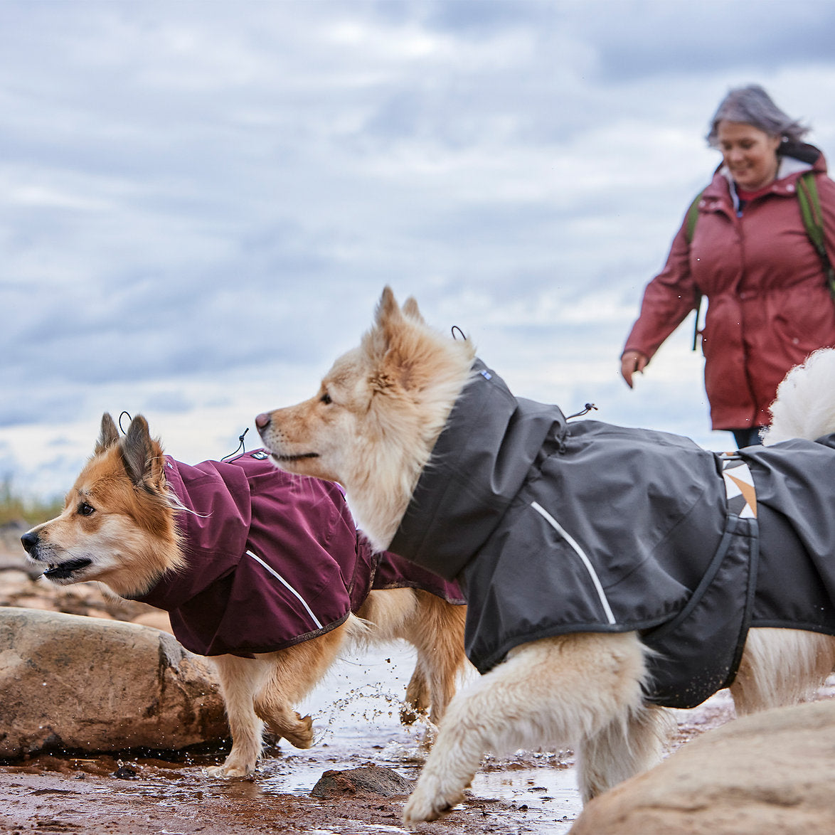 mudventure-extreme-weather-dog-raincoat