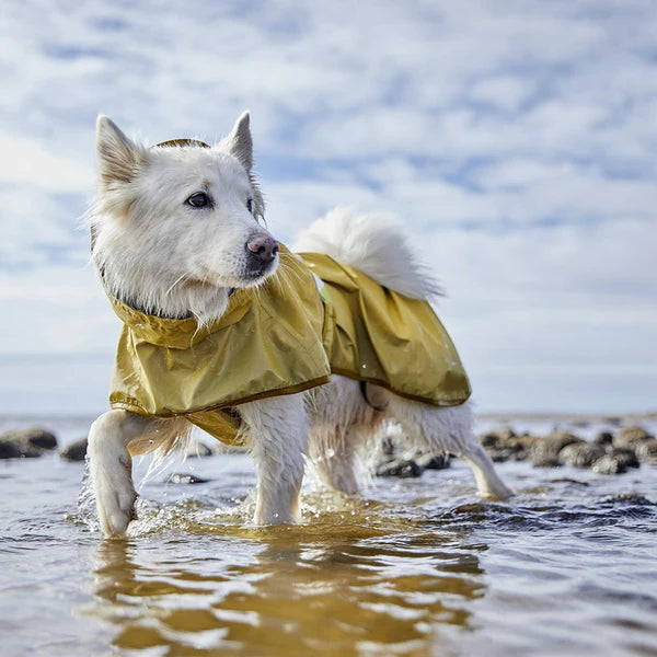 mudventure-reflective-dog-coat-turmeric